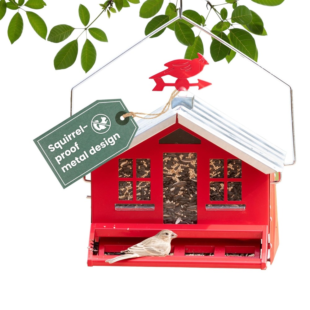 Perky-Pet 8lb Bird Feeder Red Metal Squirrel Proof Weight Activated Large New